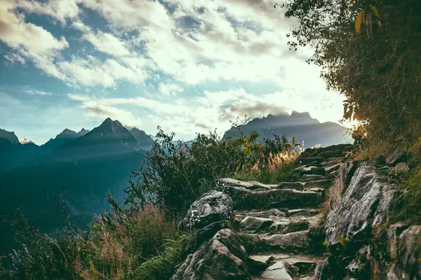 Person walking up steps symbolizing financial progress